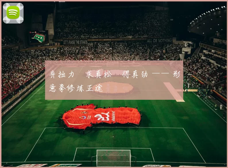 弃拙力・求真松・得真劲 —— 形意拳修炼正途