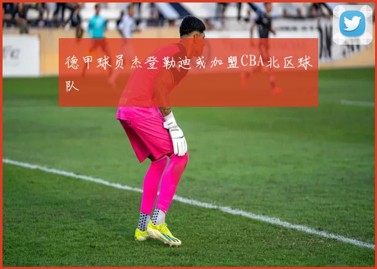 德甲球员杰登勒迪或加盟CBA北区球队