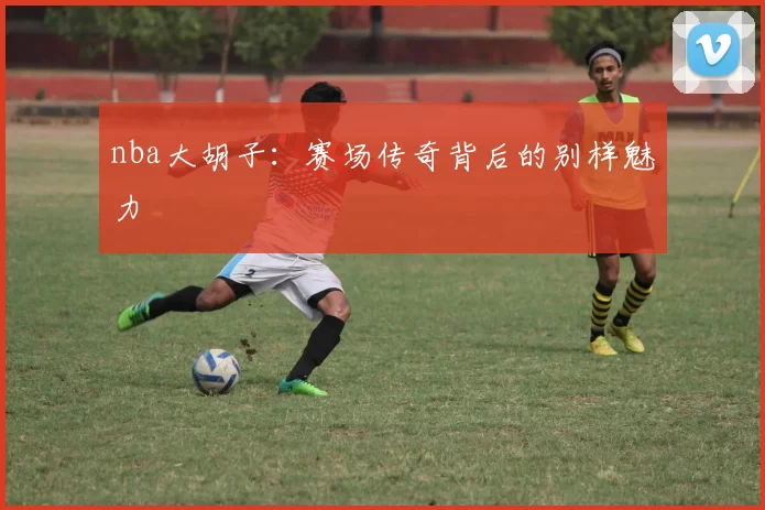 nba大胡子：赛场传奇背后的别样魅力