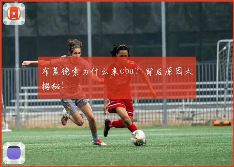 布莱德索为什么来cba？背后原因大揭秘！
