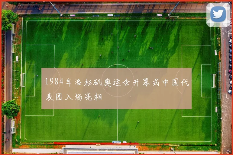 1984年洛杉矶奥运会开幕式中国代表团入场亮相